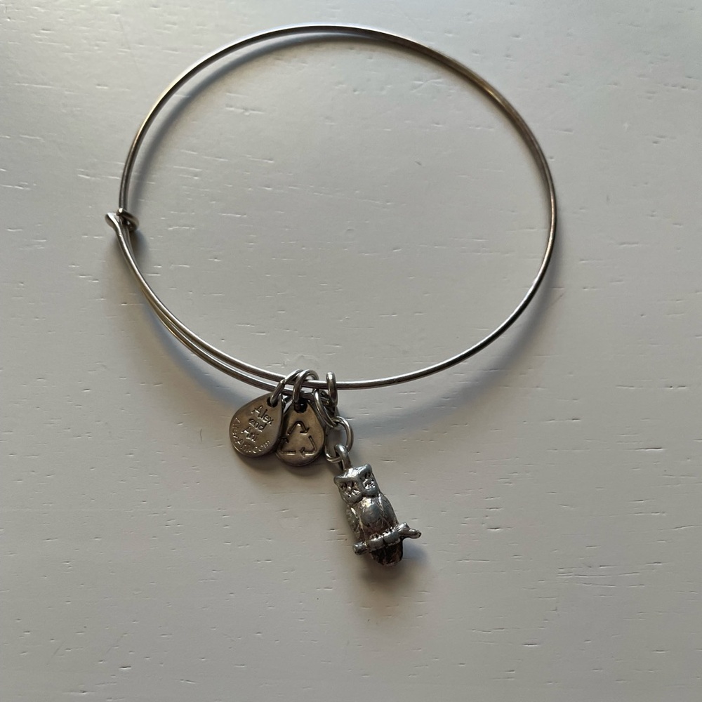 Alex and Ani Owl bangle